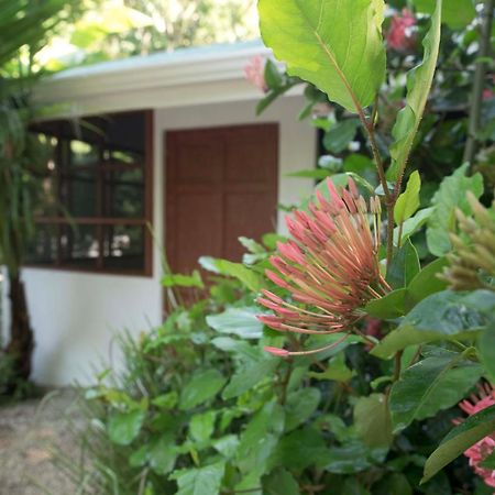 Jungle'S Edge Hotel Nosara Kültér fotó