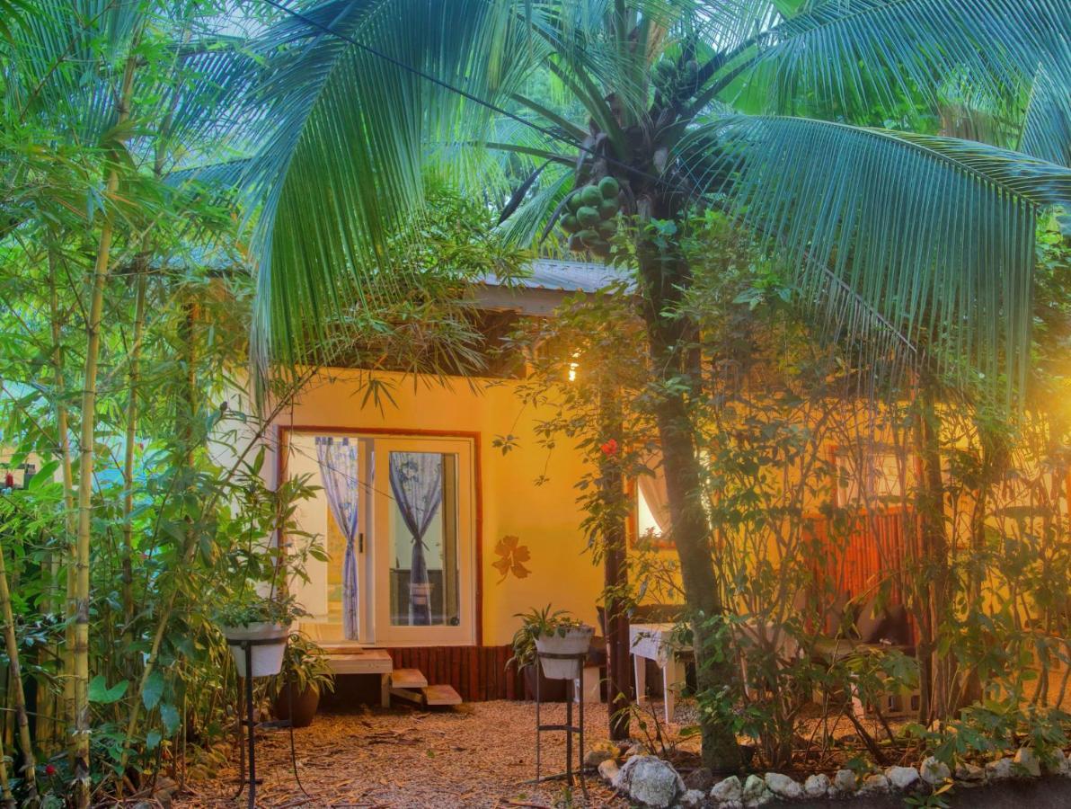 Jungle'S Edge Hotel Nosara Kültér fotó