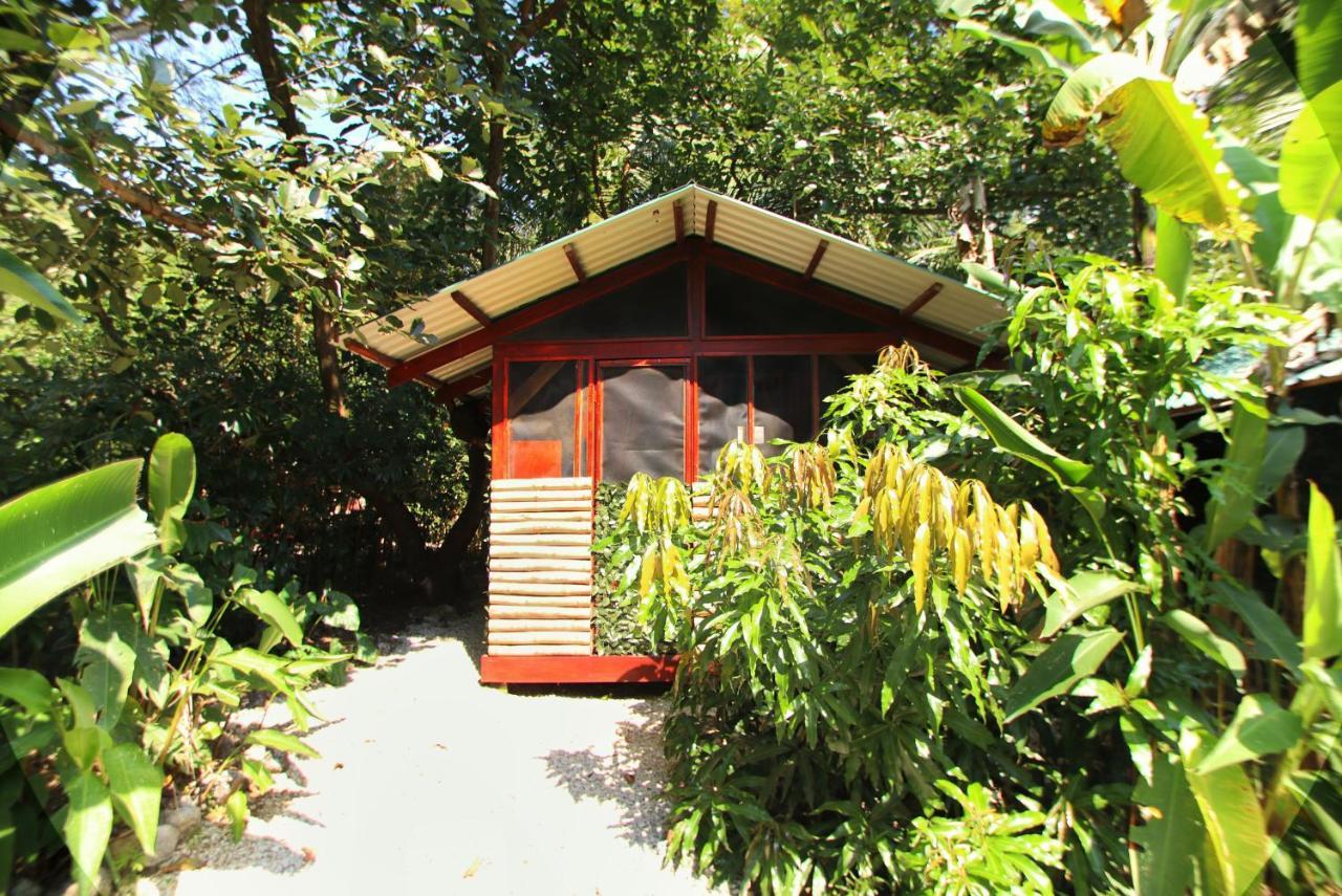 Jungle'S Edge Hotel Nosara Kültér fotó