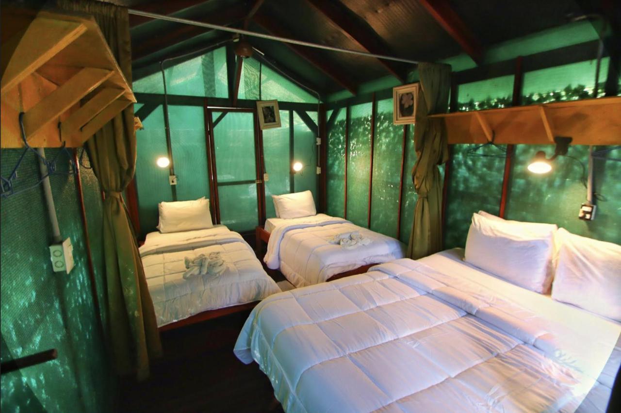 Jungle'S Edge Hotel Nosara Kültér fotó