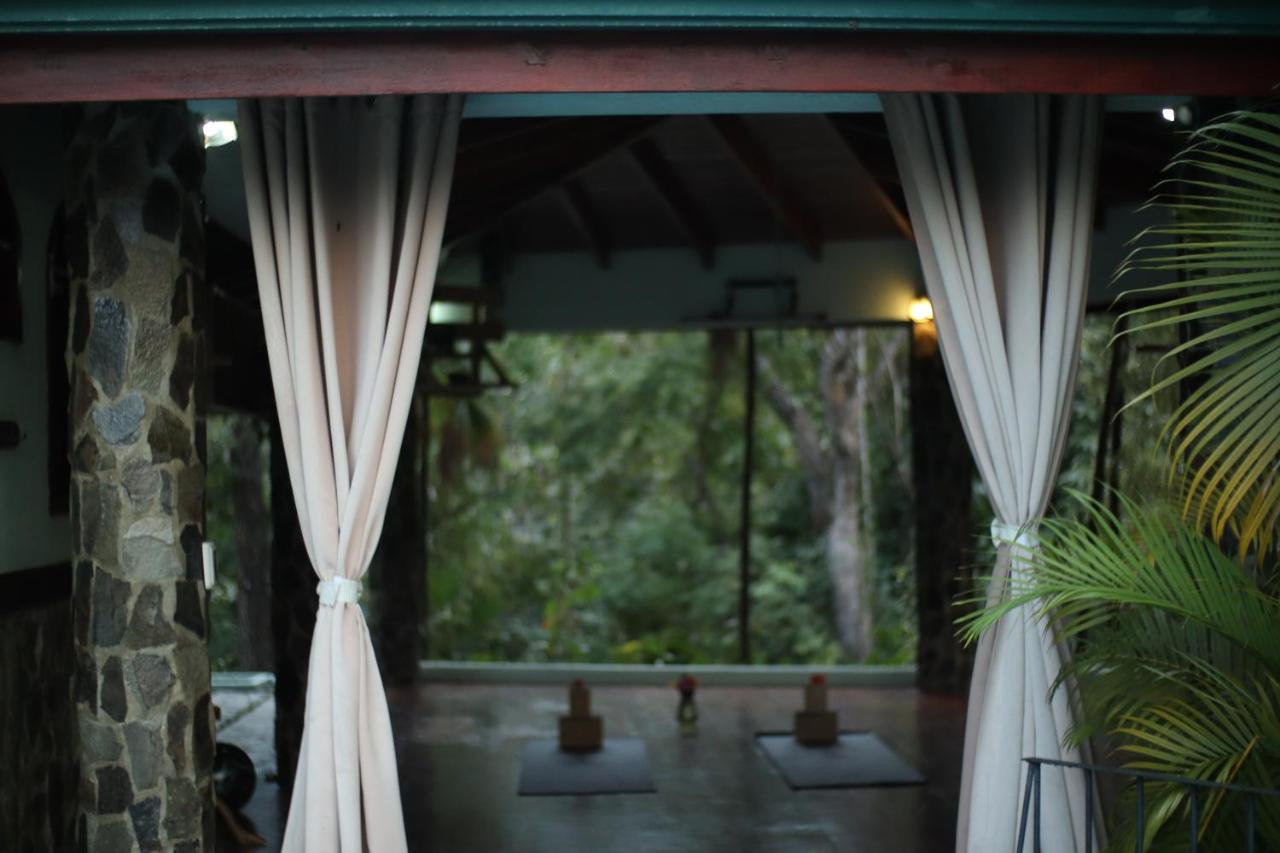 Jungle'S Edge Hotel Nosara Kültér fotó