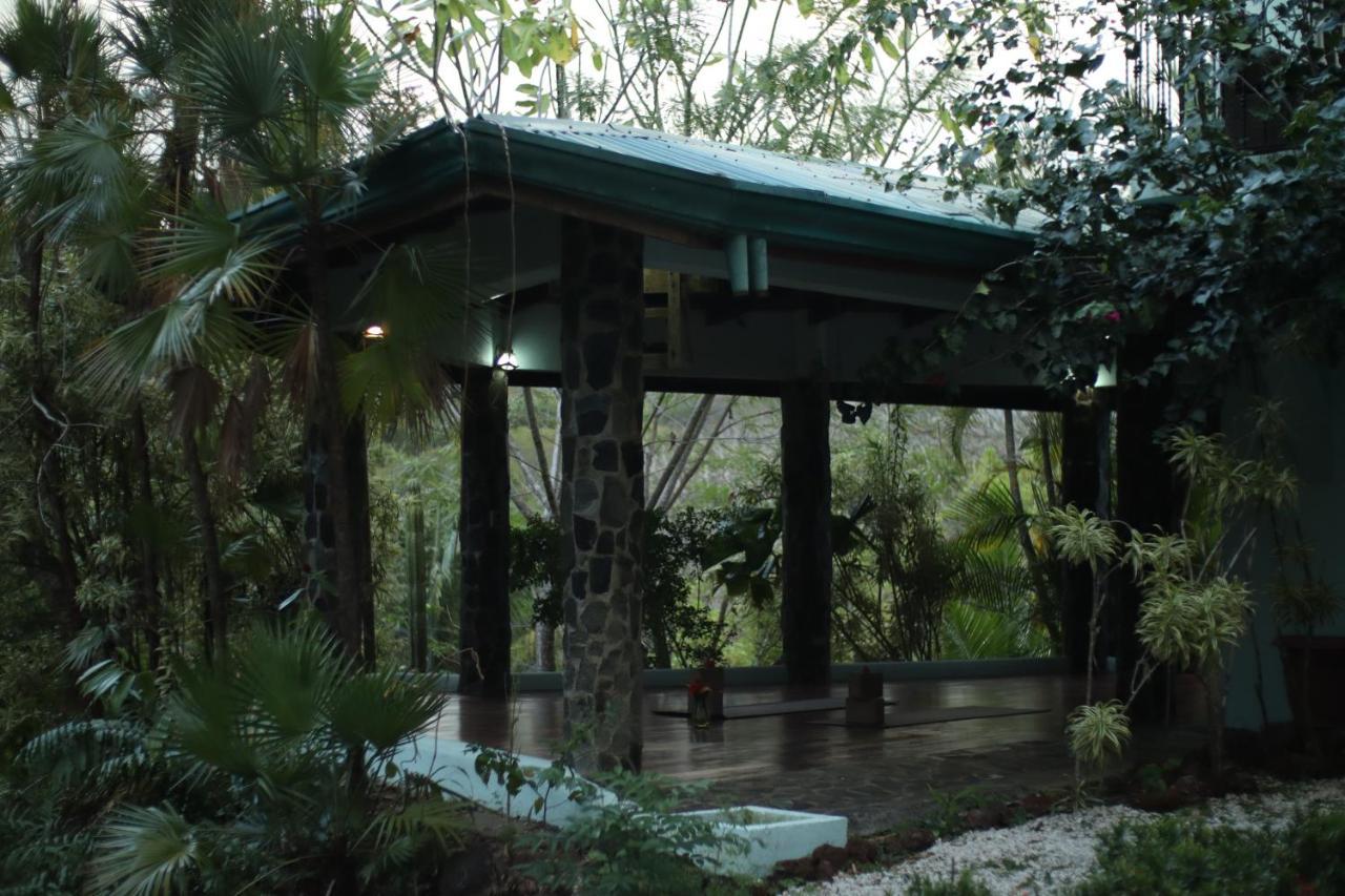 Jungle'S Edge Hotel Nosara Kültér fotó