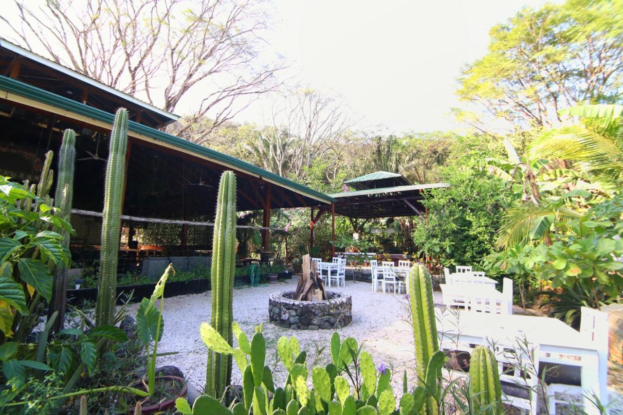 Jungle'S Edge Hotel Nosara Kültér fotó