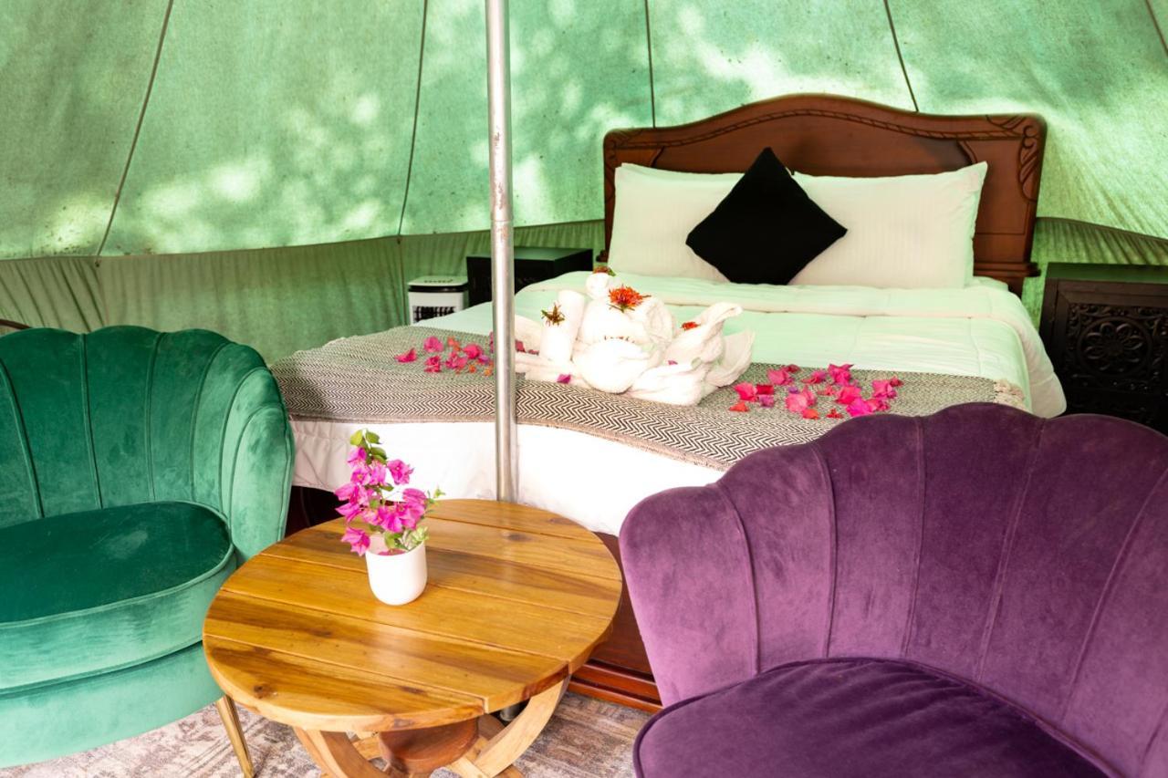 Jungle'S Edge Hotel Nosara Kültér fotó