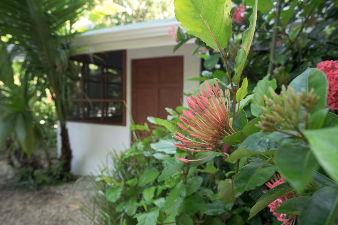 Jungle'S Edge Hotel Nosara Kültér fotó