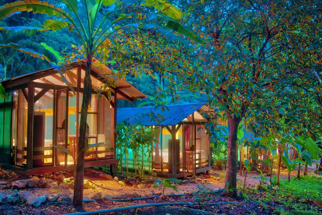 Jungle'S Edge Hotel Nosara Kültér fotó