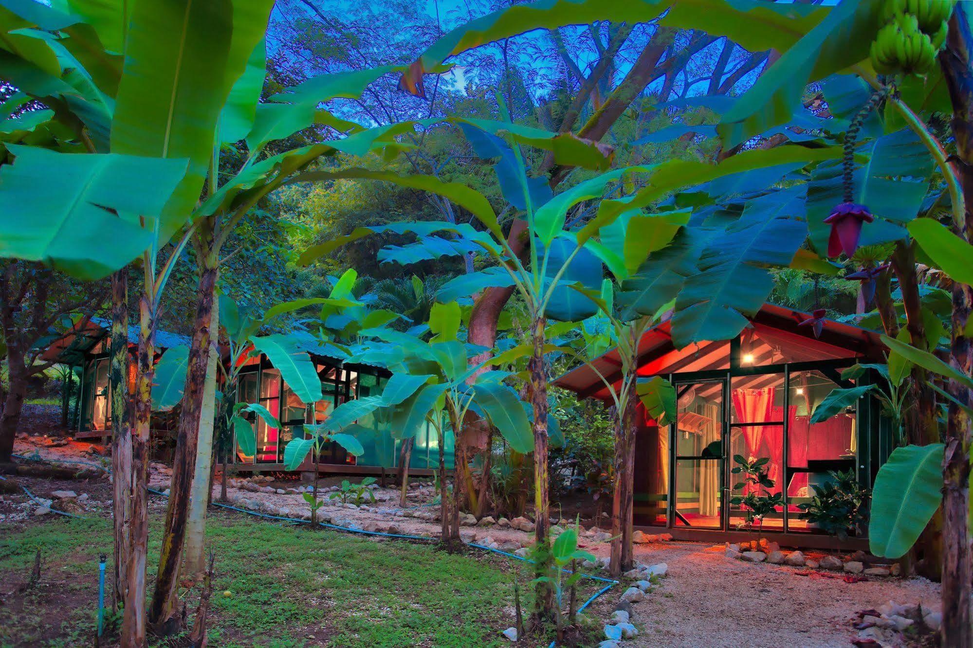 Jungle'S Edge Hotel Nosara Kültér fotó