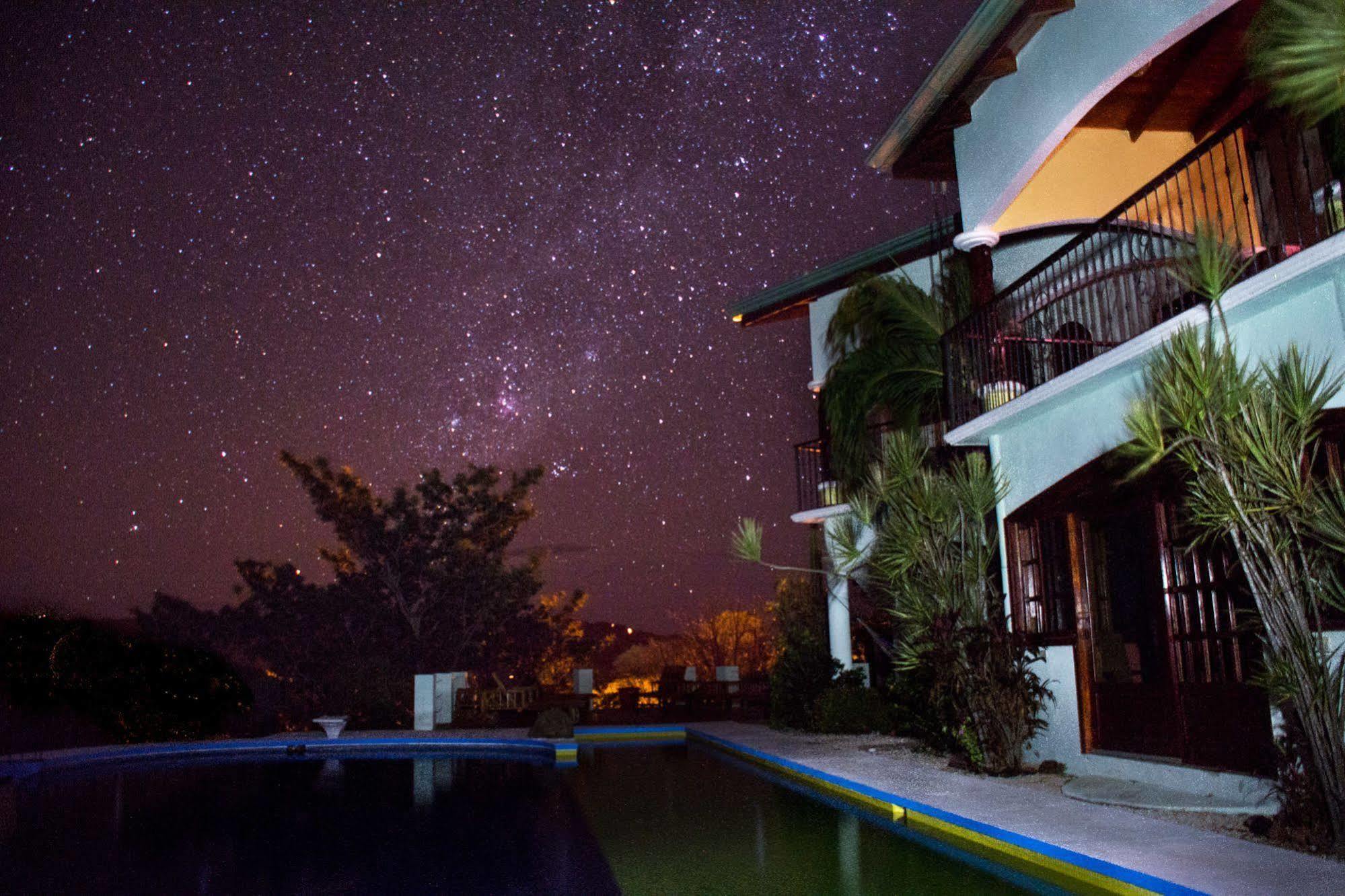 Jungle'S Edge Hotel Nosara Kültér fotó